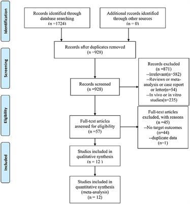 The effect of exercise on the prevention of gestational hypertension in obese and overweight pregnant women: An updated meta-analysis